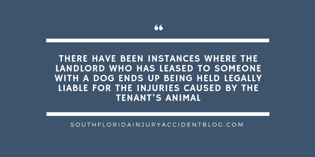 is a landlord responsible for tenants dog